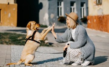 夫妻吵架，男人千万不要这样做