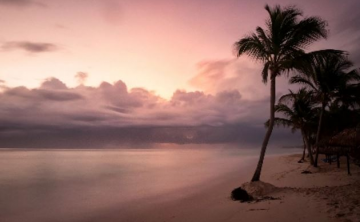 【yesolove】挽回女友让她反感了_越挽回前女友她越反感