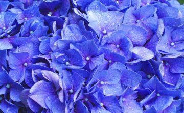 笑忘书—给自己的情书