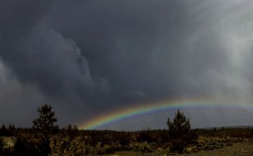 【吕途】挽回男友心理咨询_挽回前男友的心理学技巧