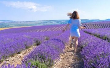 原配当街暴打打小三，小三被扒衣暴打