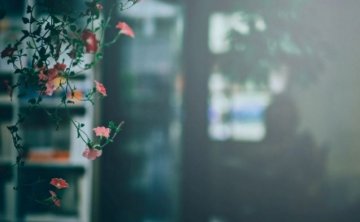 老公or老婆出轨 怎样挽回婚姻如何挽回？