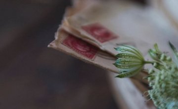 丈夫or妻子劈腿分手多久后悔怎么处理？