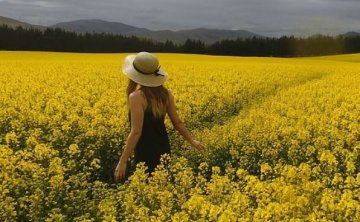 学会用女人思维理解她们，谈恋爱技巧