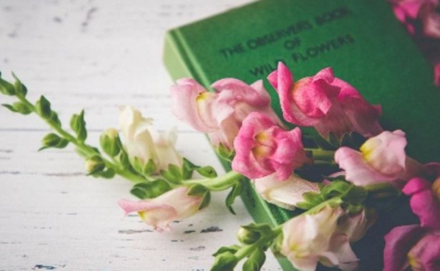 丈夫or妻子生气分手是不是不喜欢不爱我