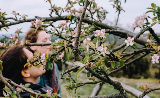 哪种人分手后还能复合,分手后不要做的事,想要挽回必须要懂