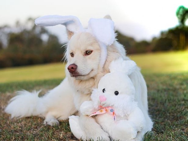 老公VS老婆累了坚决分手如何挽回？