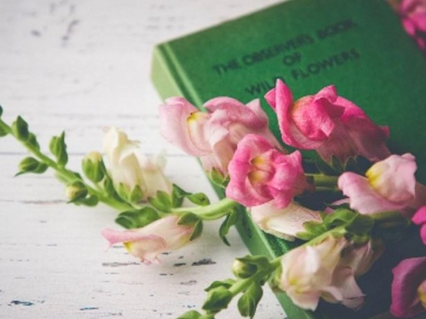 男朋友or前男友生气提分手不愿复合需要挽回？应该挽回吗