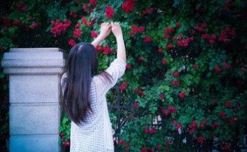 如何提升与女生的关系？提升和女生的关系秘籍！