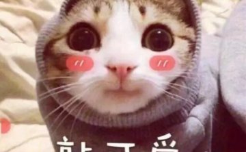 撩女朋友的简短情话