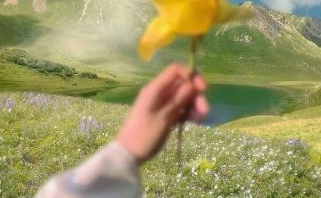 2019浪漫爱情语录简短