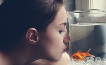 如何挽救无性婚姻？挽救无性婚姻的秘籍！