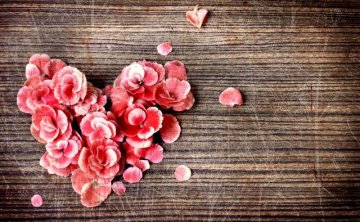 女人对夫妻房事不感兴趣怎么办？教你对女人对夫妻房事不感兴趣的解决方法！