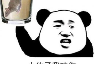 马宝国耗子尾汁表情包高清