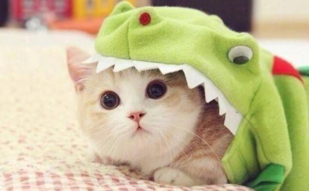 逗人笑的幽默聊天对话,逗人开心又撩人的话