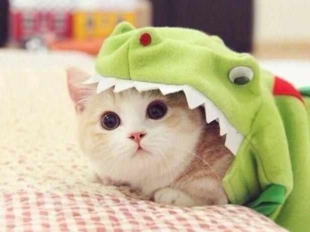 逗人笑的幽默聊天对话,逗人开心又撩人的话